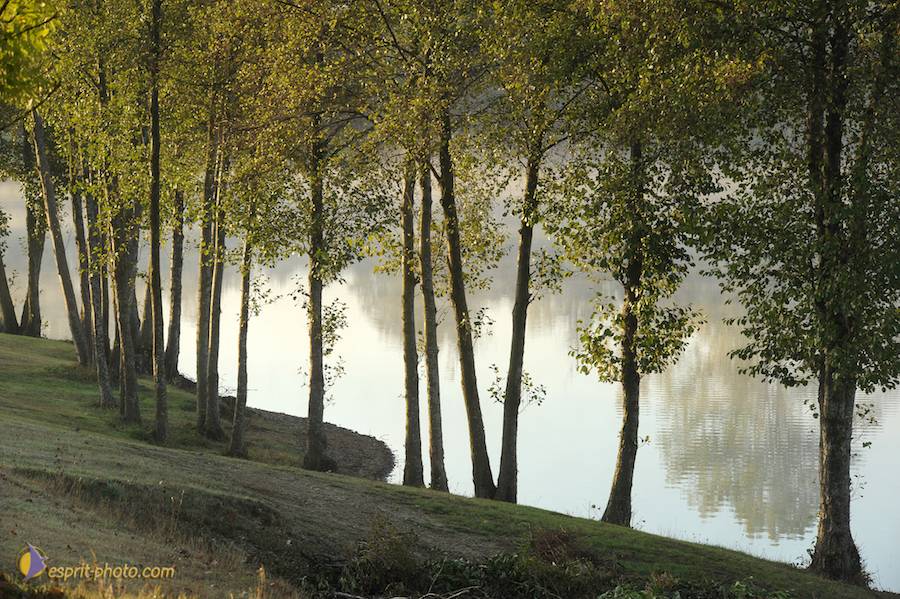 Nom de l'image : D30082688_1_(c)Norbert-JUNG — Description :